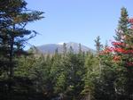 you should see an image here