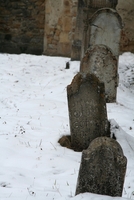 Cârţa 