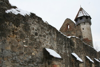 Cârţa 