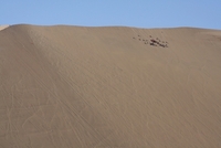 Huacachina