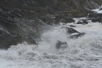 marblehead 