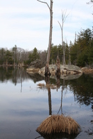 pawtuckaway
