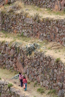 pisaq