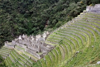 winaywayna