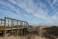 plum island 