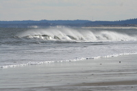 plum island 